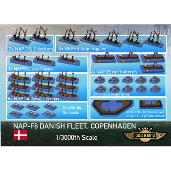 NAP-F06 Battle Of Copenhagen Danish Fleet
