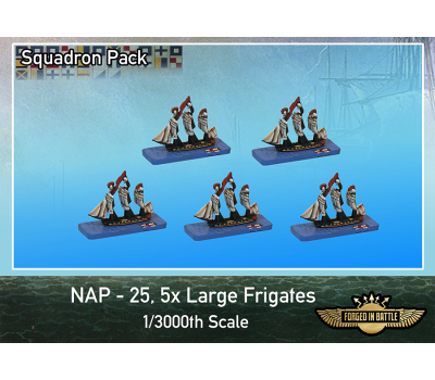 NAP-25 1/3000th Scale Ships -  Large Frigates