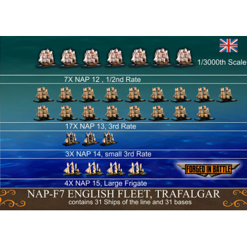 NAP-F7 British Fleet