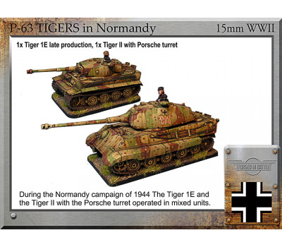 P-63 Tigers in Normandy