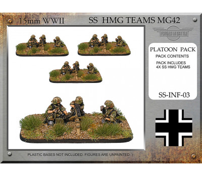 SS-INF-03 SS HMG Teams 