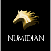 WE-A58 W & E Starter Army Numidian WE-A58 W & E Starter Army Numidian