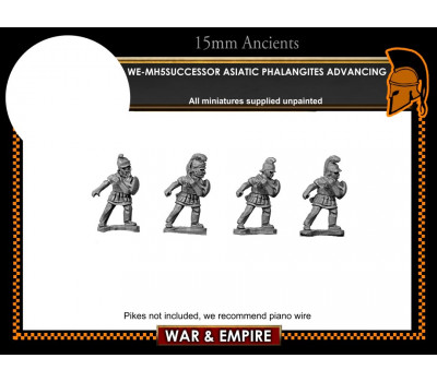 WE-MH05 Successor Asiatic Phalangites, at the slope