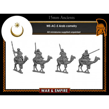 WE-AC05 Arab Camelry
