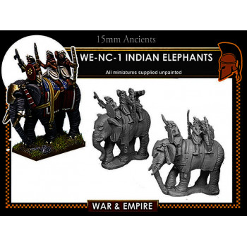 WE-NC01 Indian Elephants