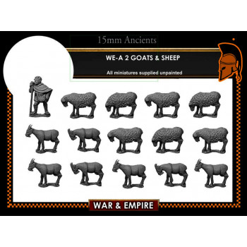 WE-A-02 Sheep & Goats