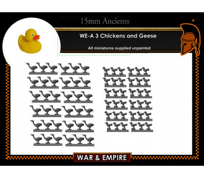 WE-A03 Chickens and Geese